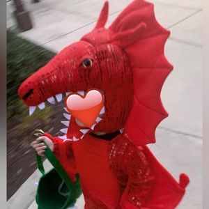 red dragon costume with stuffed dragon basket